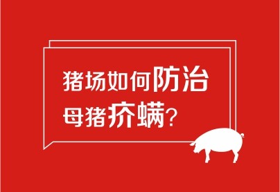 豬場(chǎng)如何防治母豬疥螨？